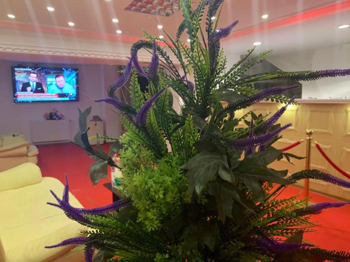 Karra Hotels Voluntari ภายนอก รูปภาพ